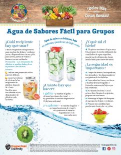 Agua de Sabores Fácil para Grupos Pagina 1