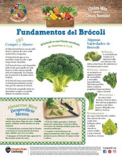 Brócoli Pagina 1