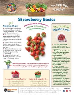 Strawberry Basics Page 1