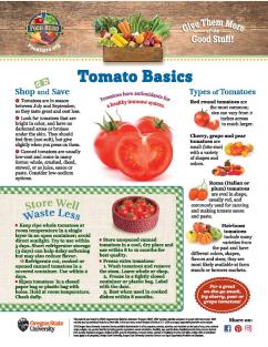 image of Tomato Basics FHM Page 1