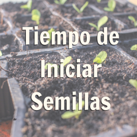 Promoción de blog con texto de iniciar semillas sobre imagen de contenedores para plantas con tierra y semillas brotando