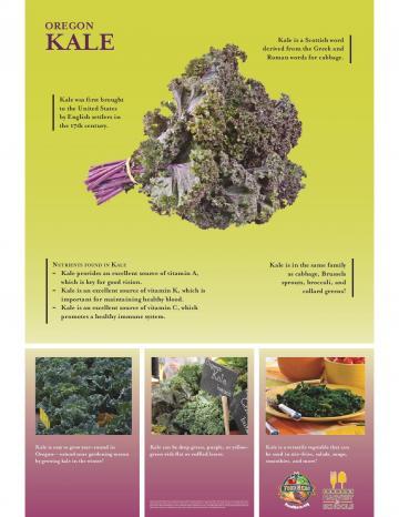 Kale Harvest Poster