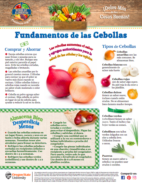Cebollas - Comprar y Ahorrar