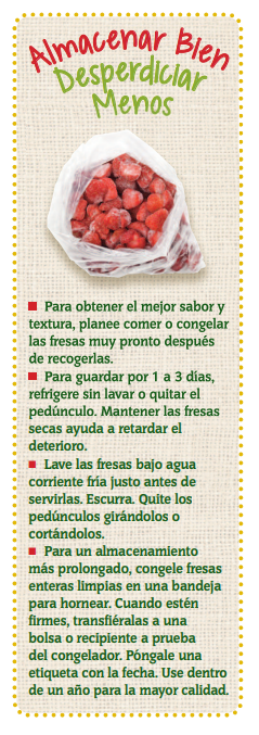 Fresas - Almacenar Bien Desperdiciar Menos