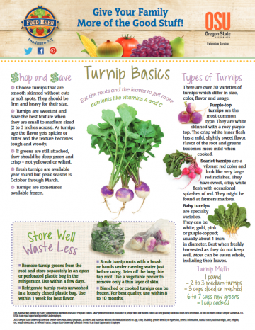 Turnip Basics