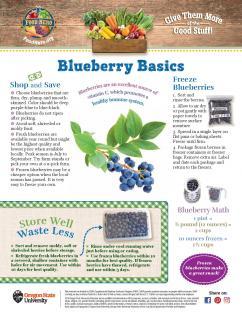 Blueberries | Food Hero