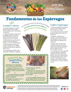 image of front page Asparagus monthly