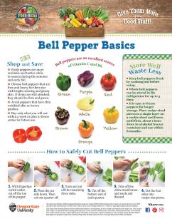 Bell Pepper Basics page 1