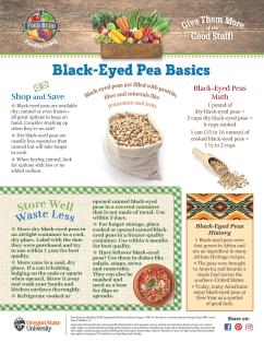 Black-Eyed Peas Monthly Magazine page 1