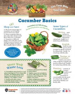 Cucumber Basics