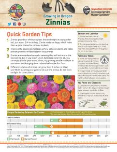 Zinnia Gardening Tip Sheet