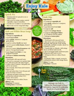 Kale Basics back page