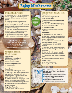 Mushroom Monthly Magazine back page