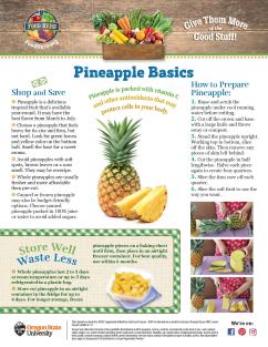 Pineapple Basics page 1