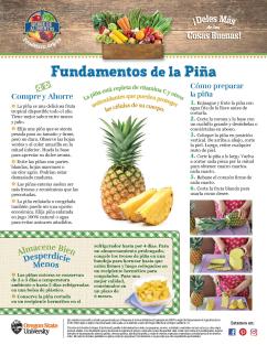 Fundamentos de la Piña pagina 1