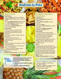 Fundamentos de la Piña pagina 2