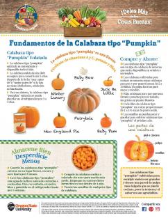 Calabaza tipo“Pumpkin”