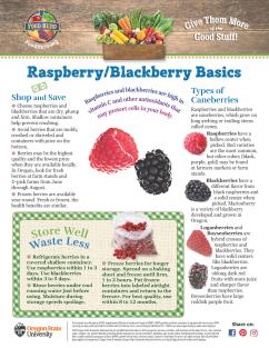 Image of Raspberry Blackberry Monthly Magazine