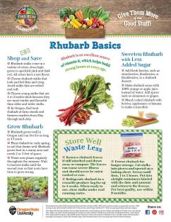 Rhubarb Basics
