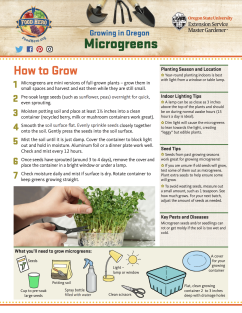 microgreens food hero monthly cover image