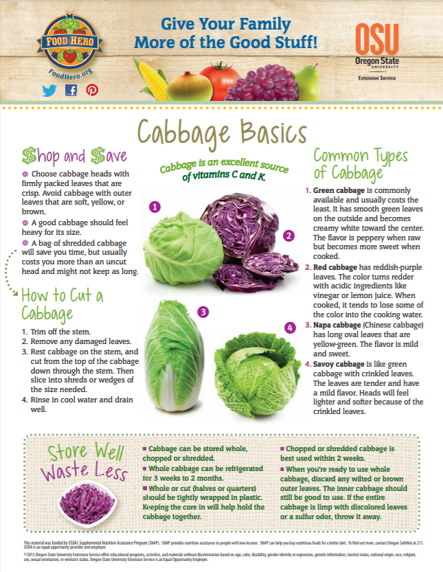 cabbage basics 
