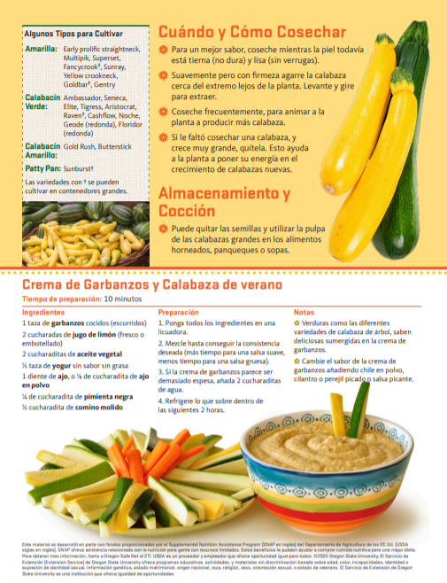 jardineria de calabaza de verano