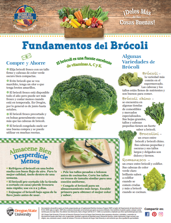 Fundamentos de Brocoli