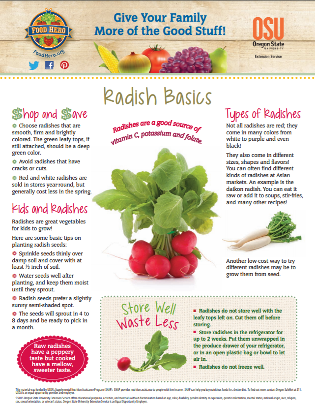 radish basics 