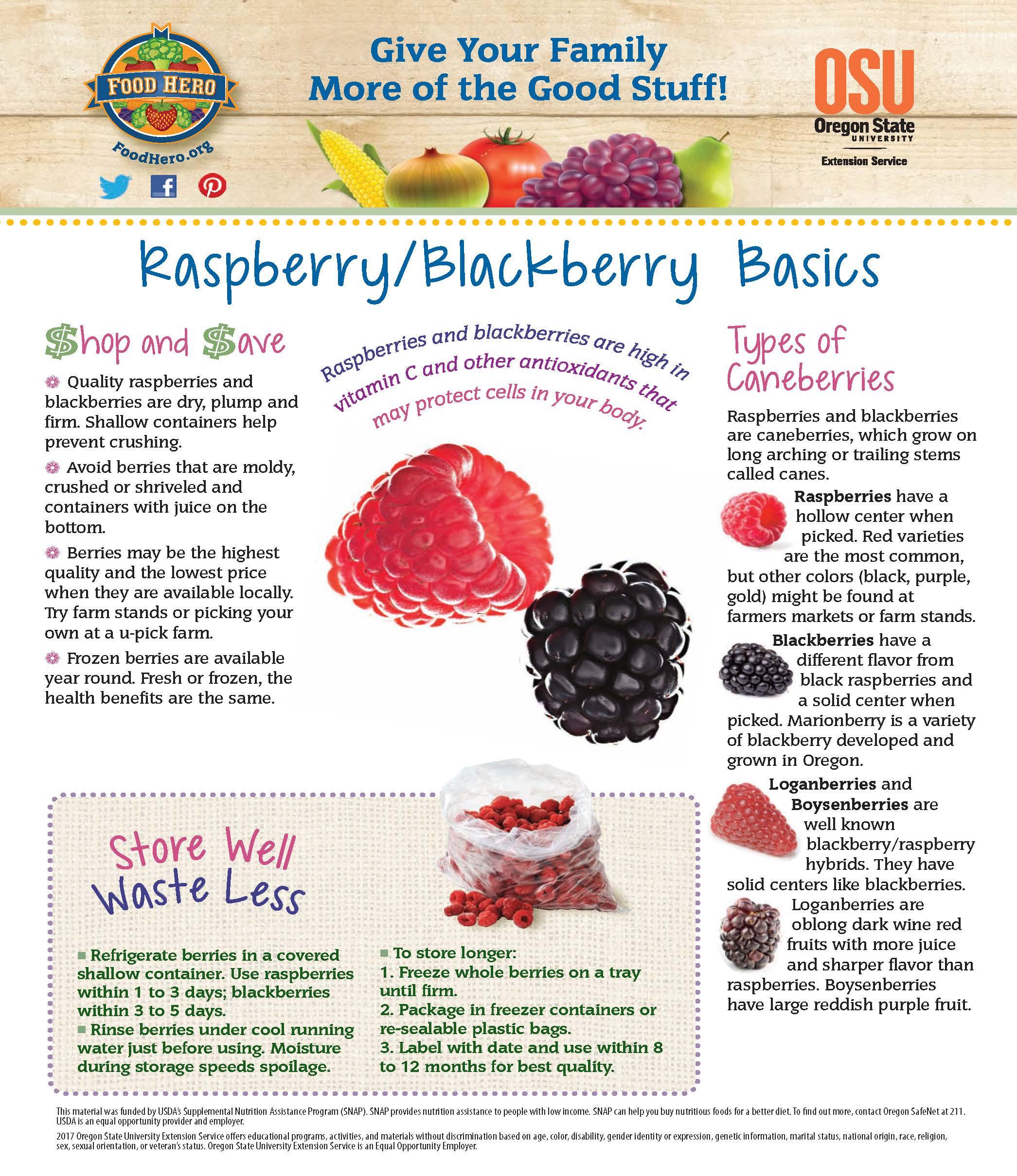 Raspberry and Blackberry Food Hero Monthly