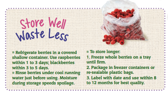 Store Well Waste Less Caneberries