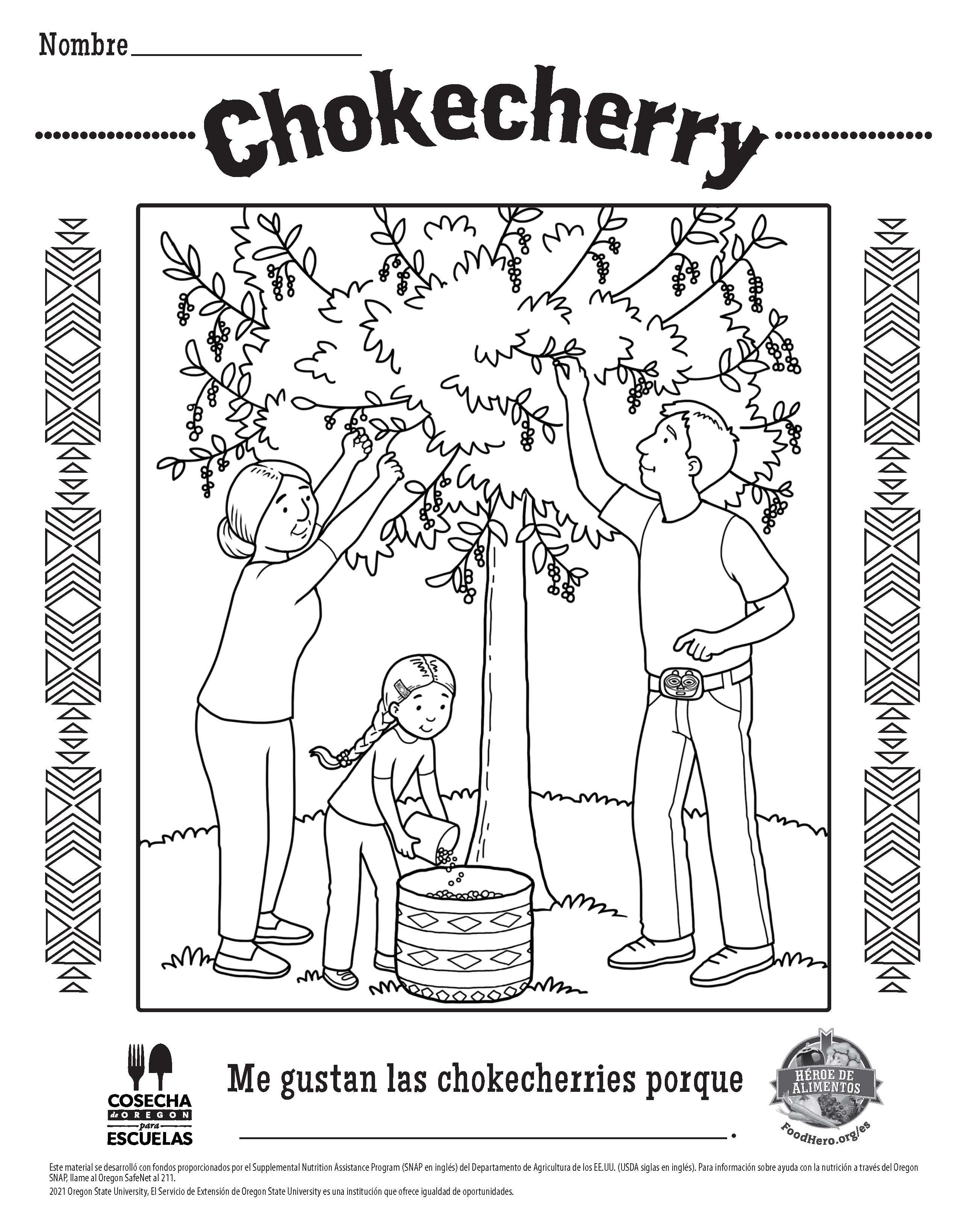 Chokecherry