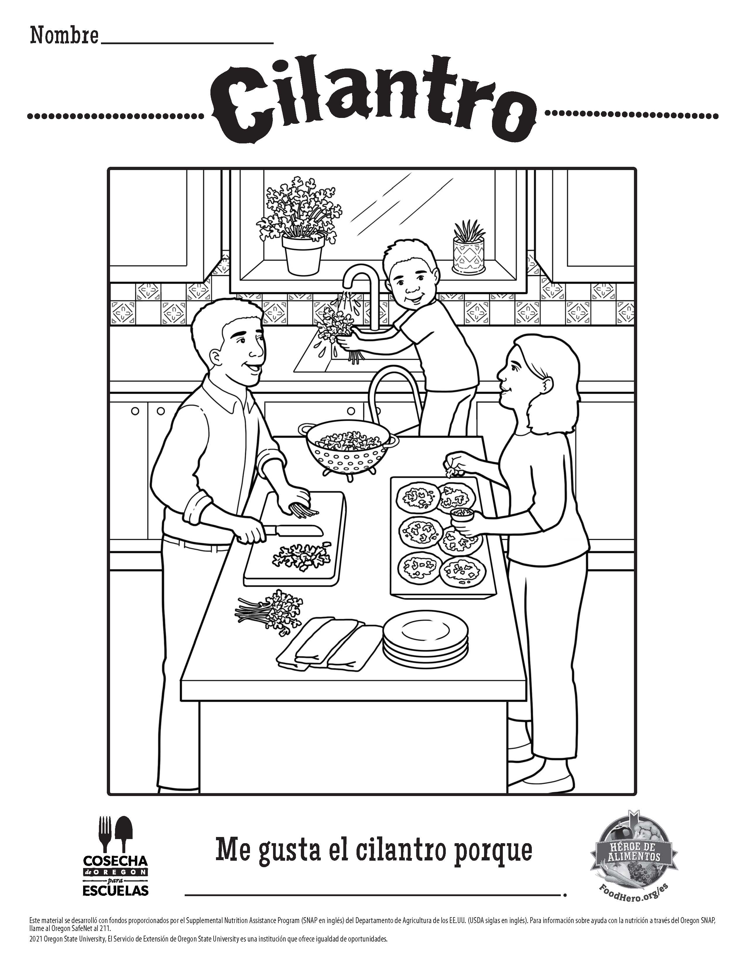 Cilantro
