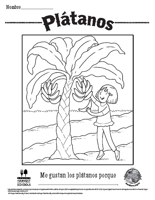 Plátanos