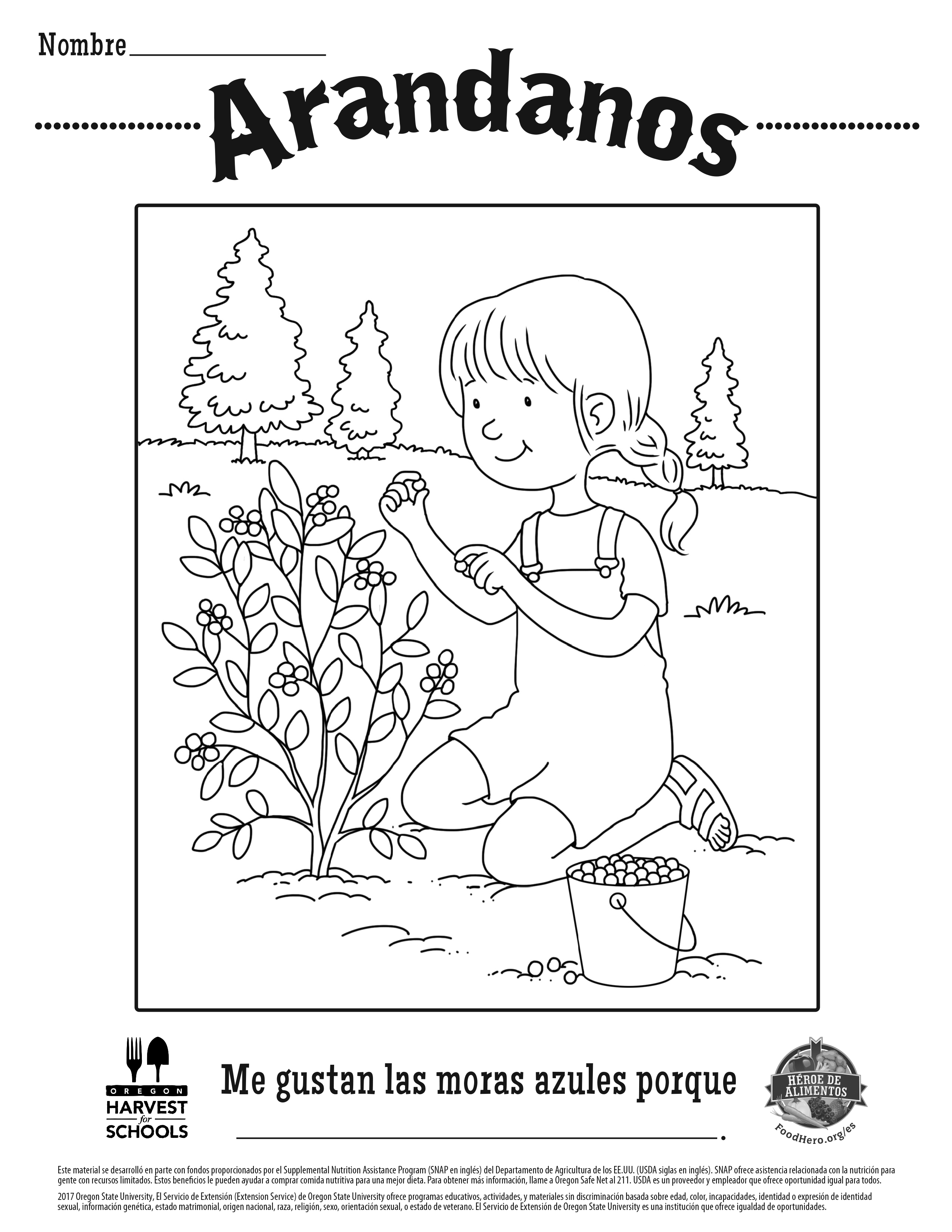 Arándanos