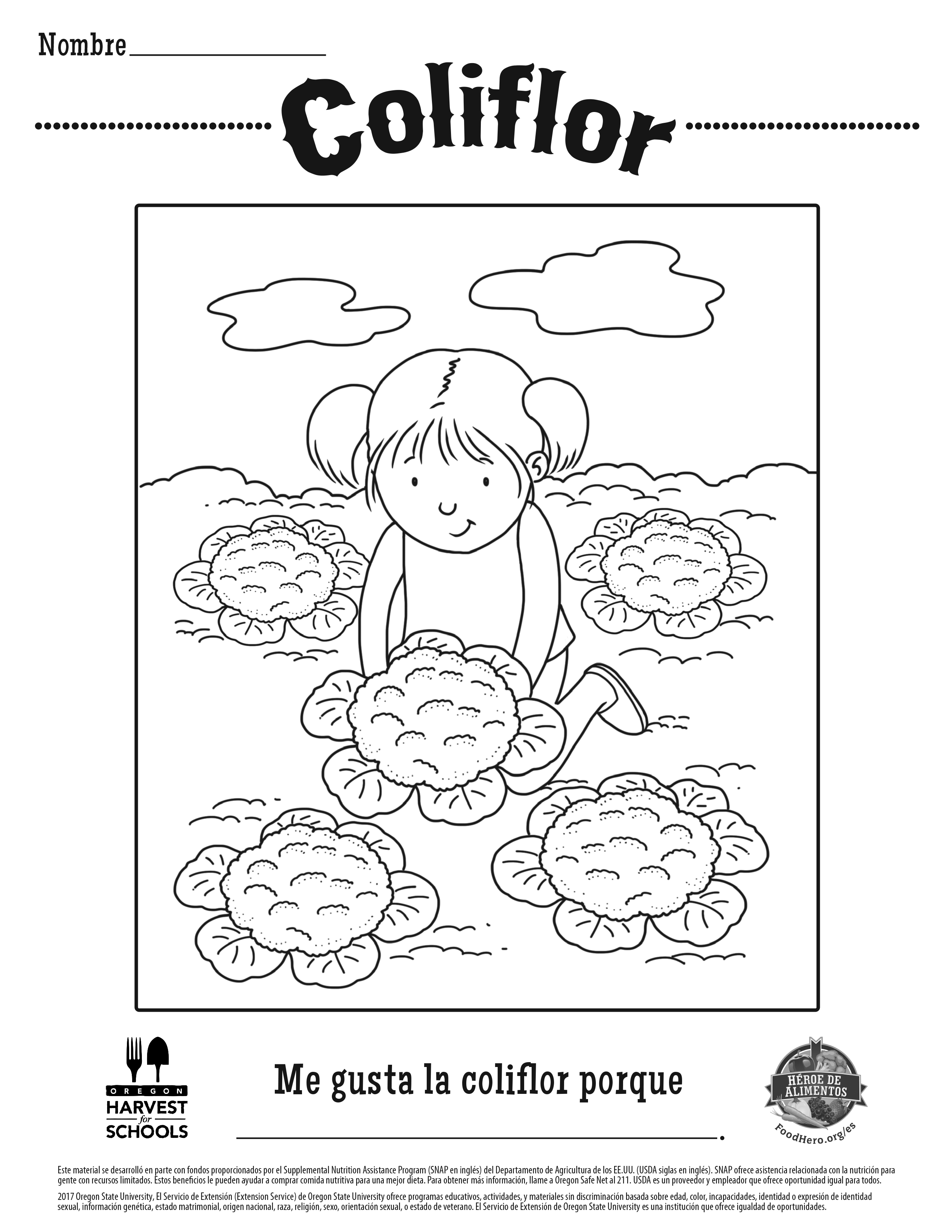 Coliflor