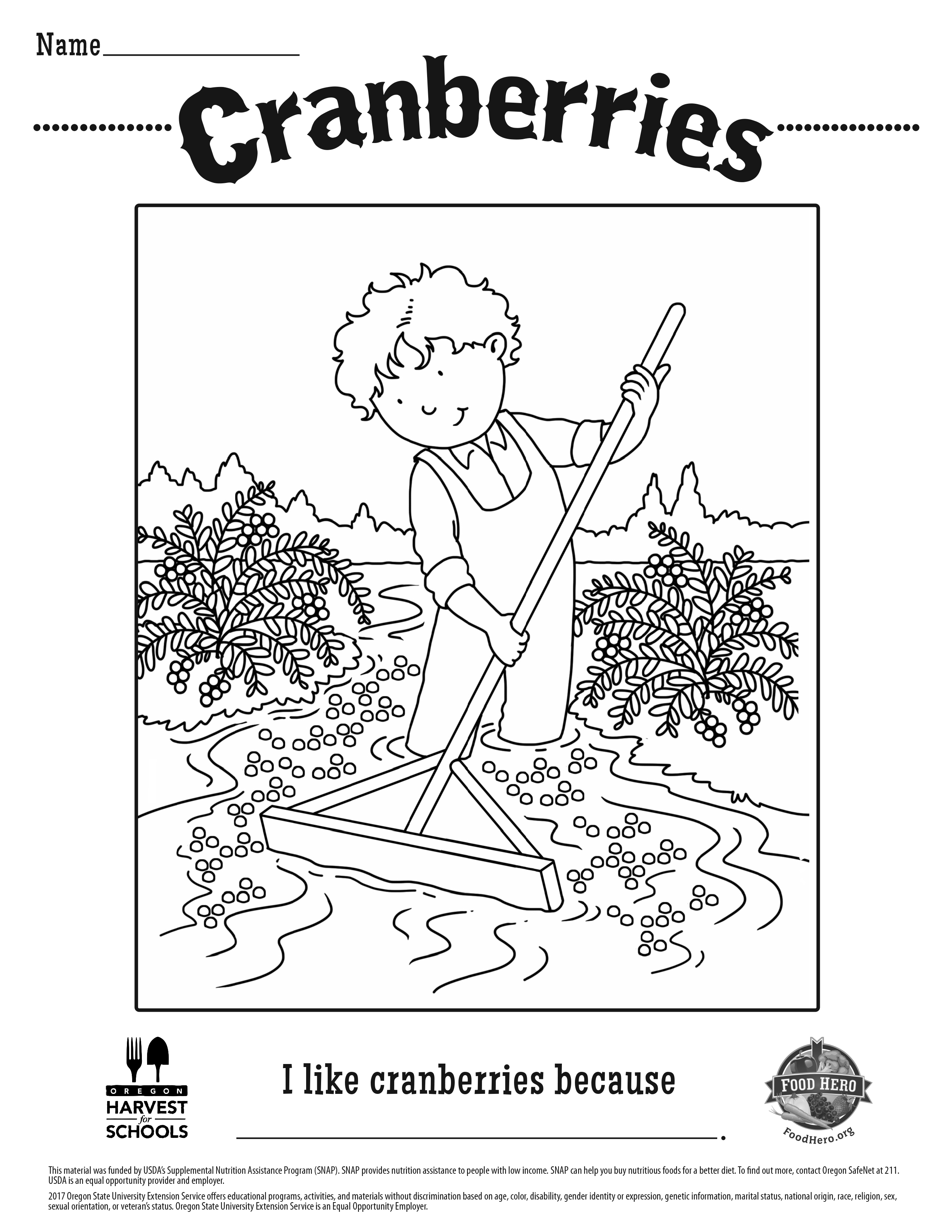 Cranberries Coloring Sheet 