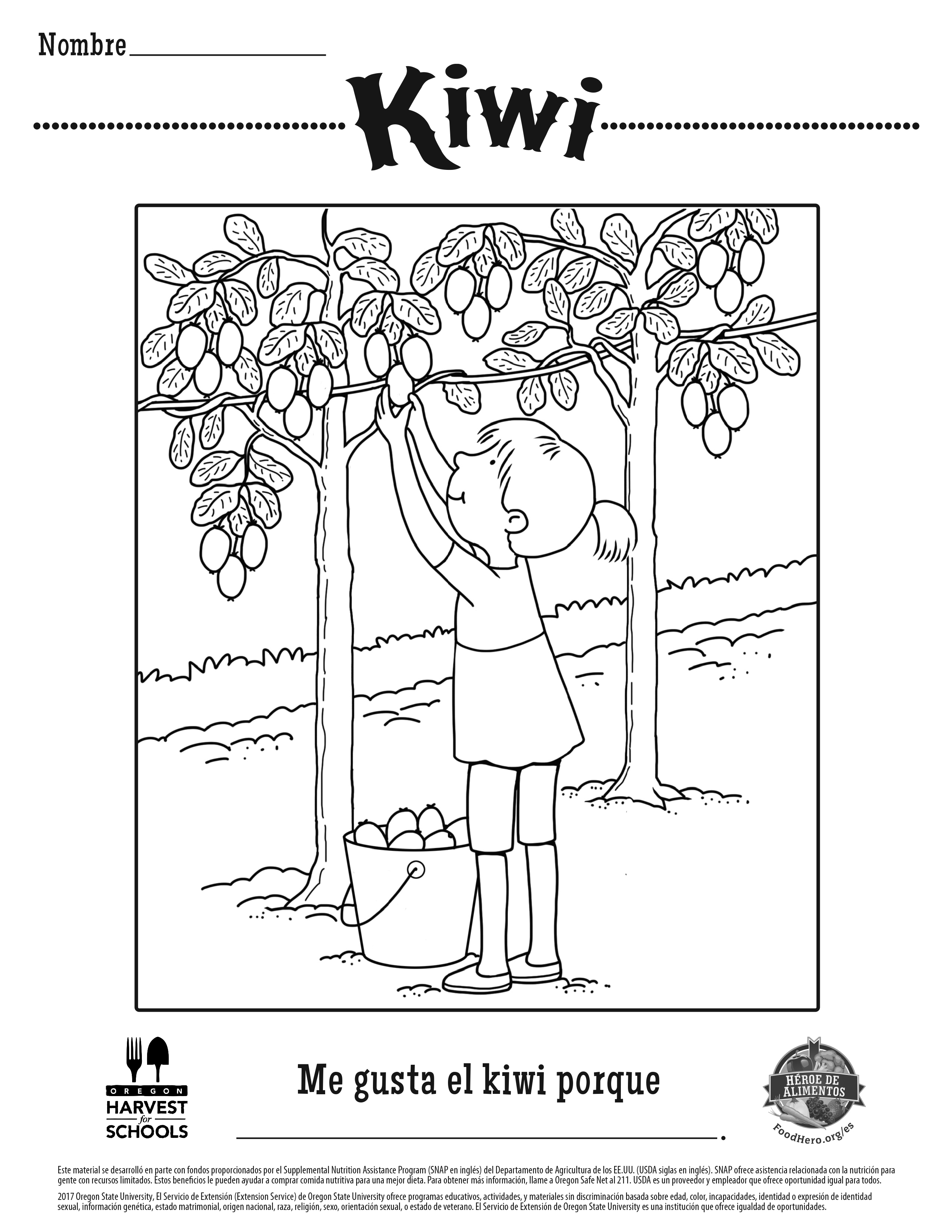 Kiwi Coloring Sheet