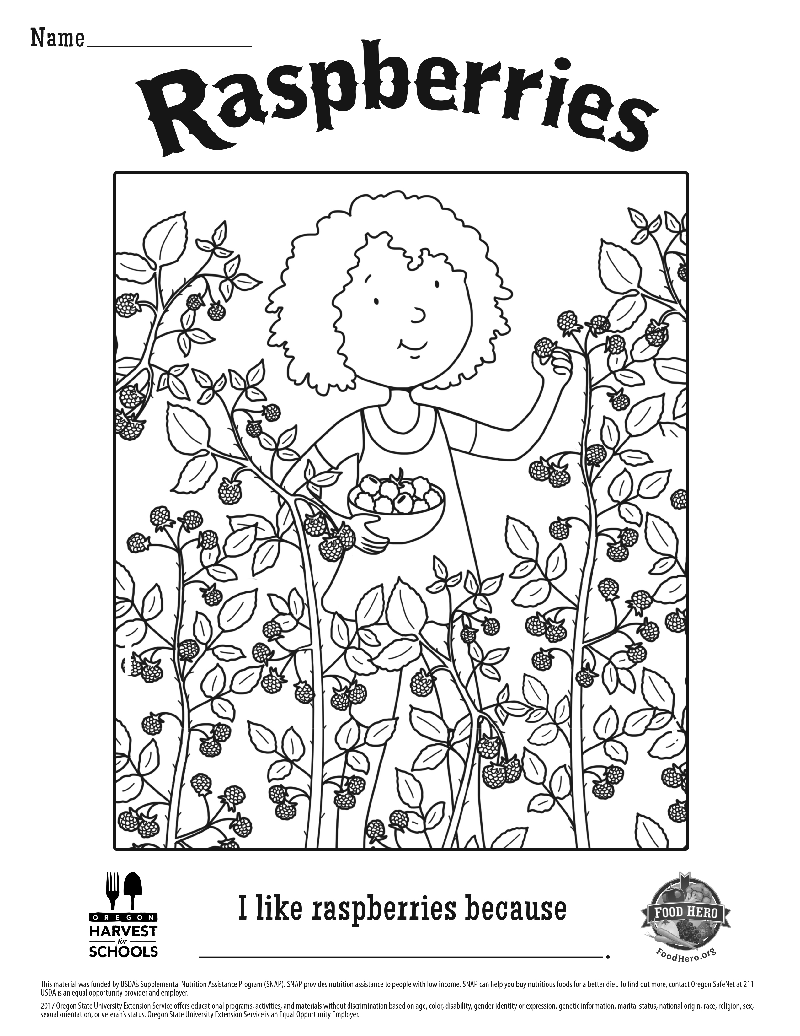 Raspberries | Food Hero