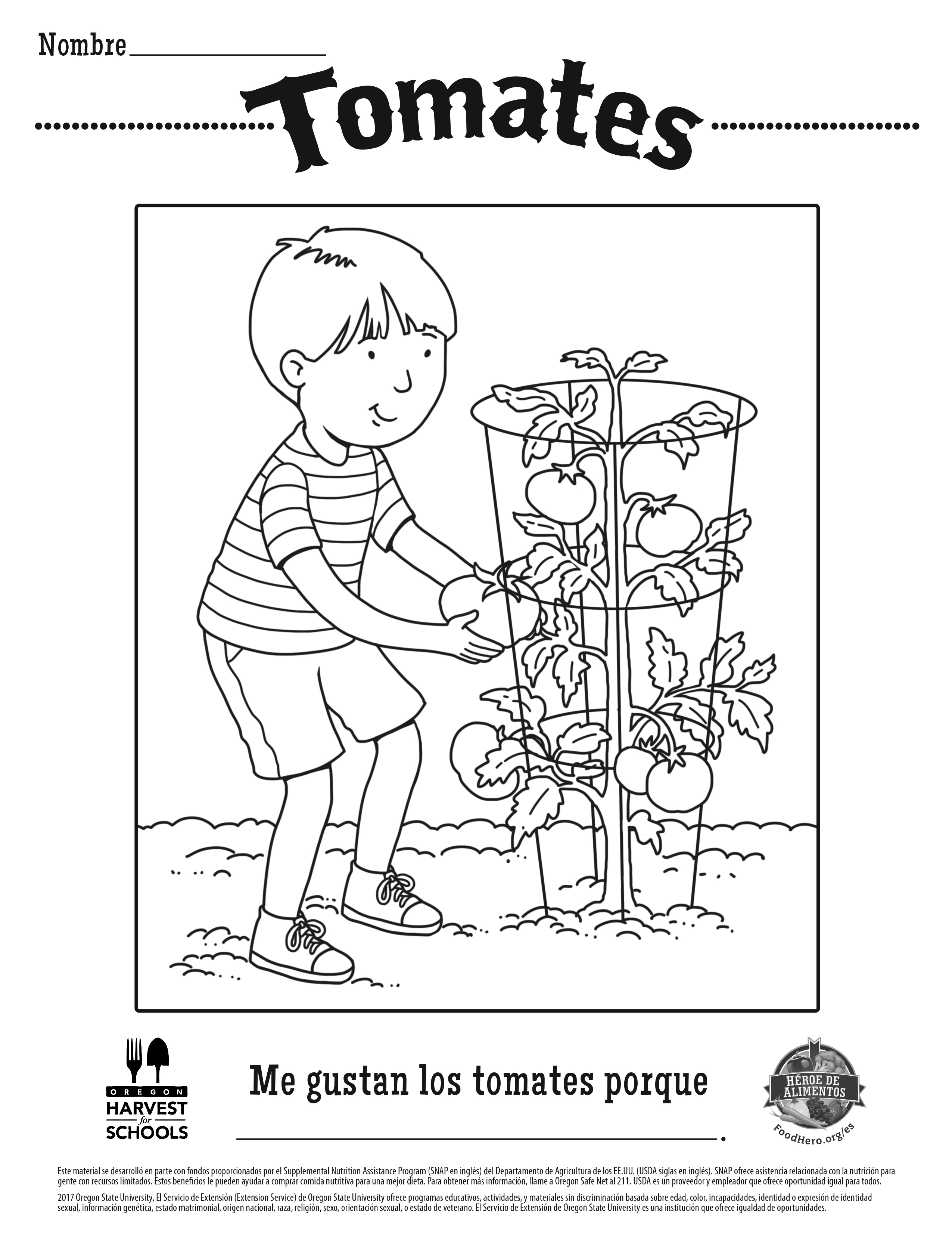Tomates