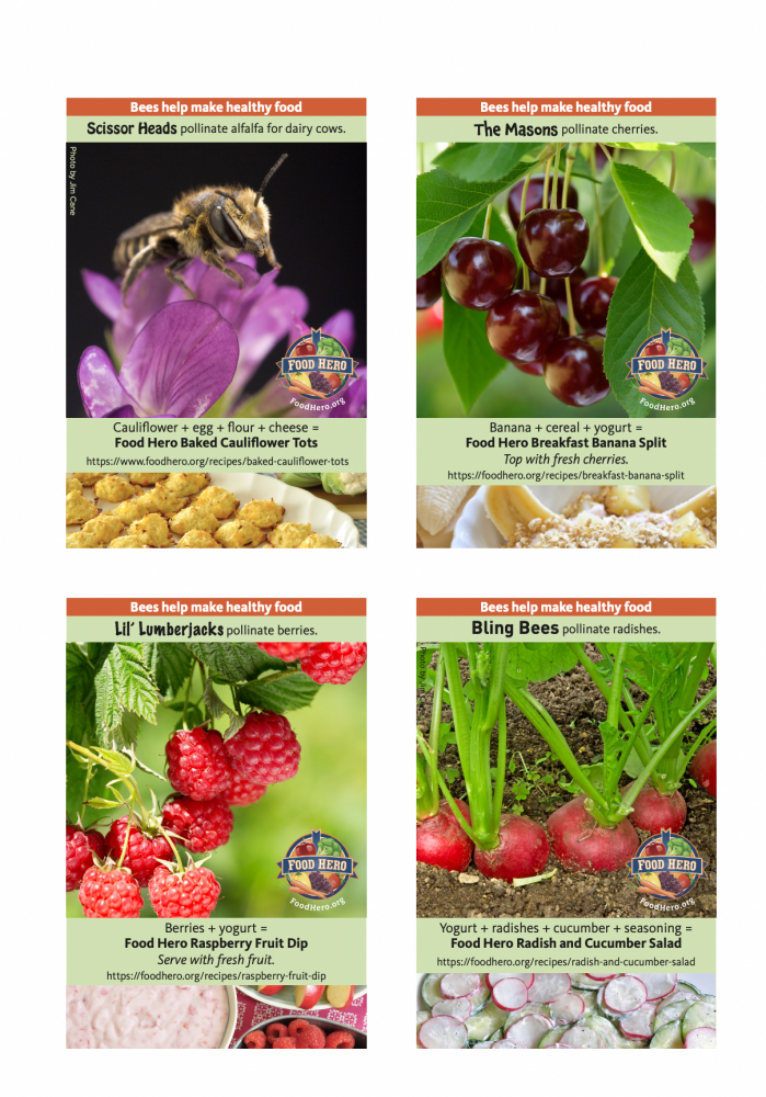 Bee Recipe Card 2 