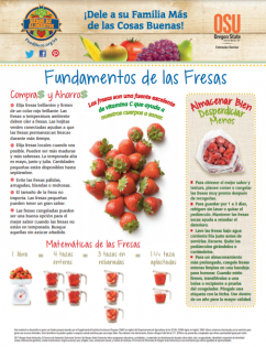 Heroe de Alimentos Mensual sobre Fresas pagina 1 