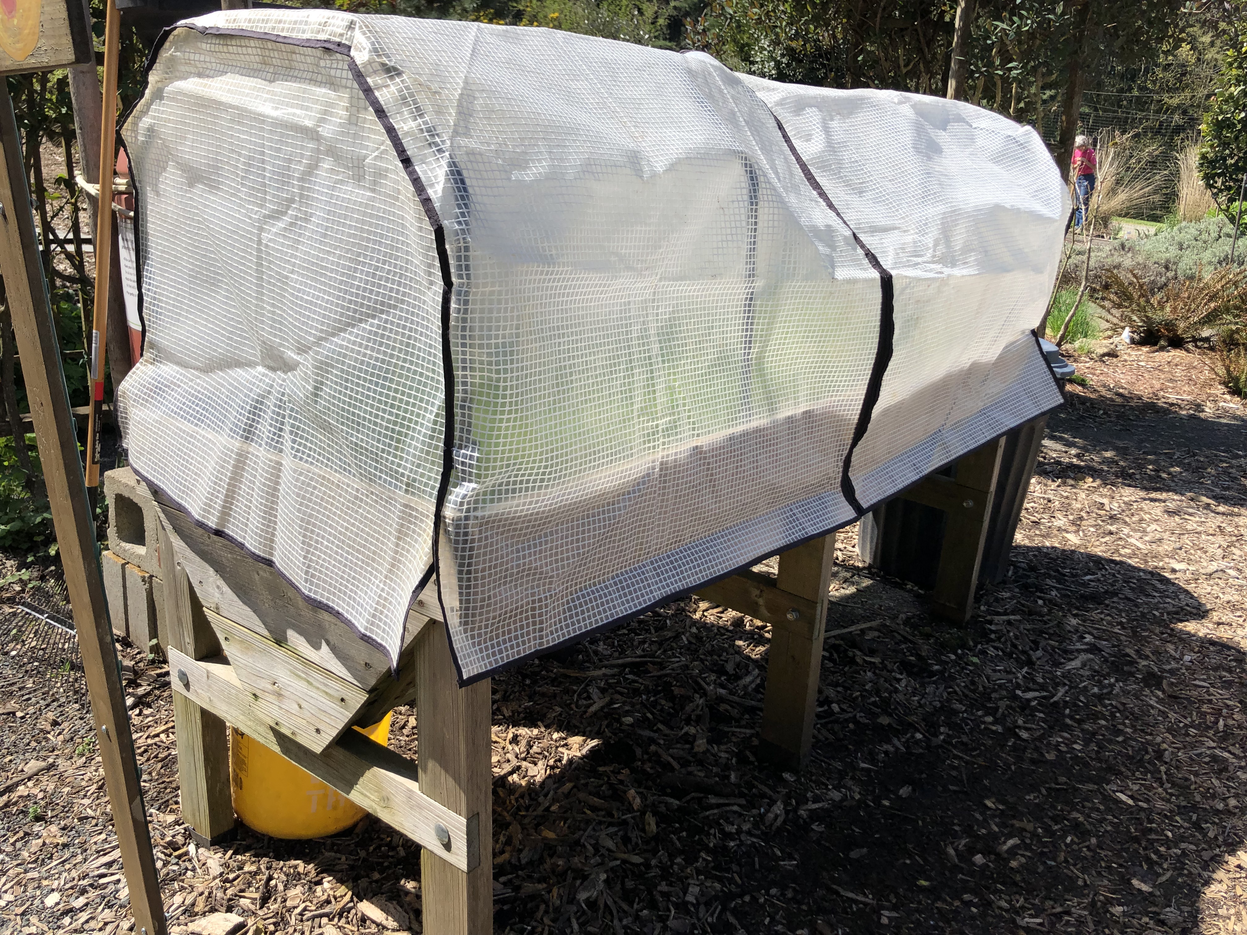 trug container garden in garden with row covering on top