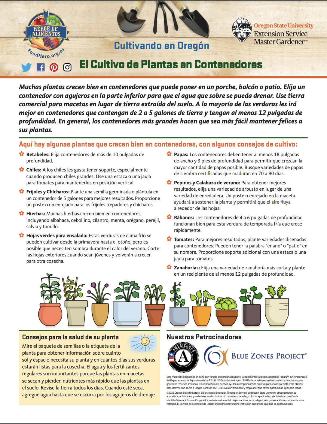 El cultivo de plantas en contededores