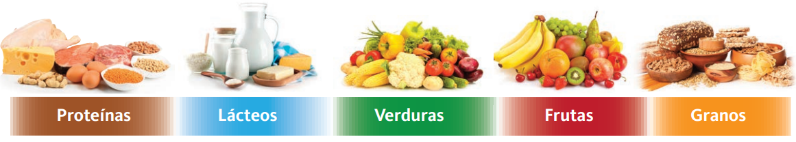 grupos de alimentos