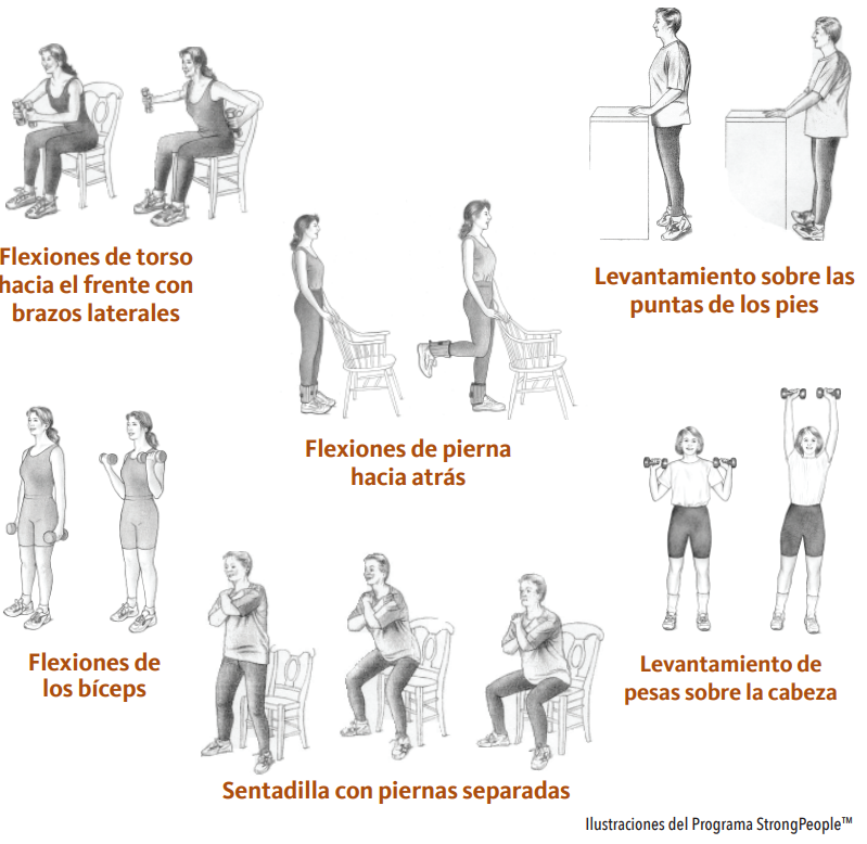 Ejemplos de ejercicios de fortalecimiento