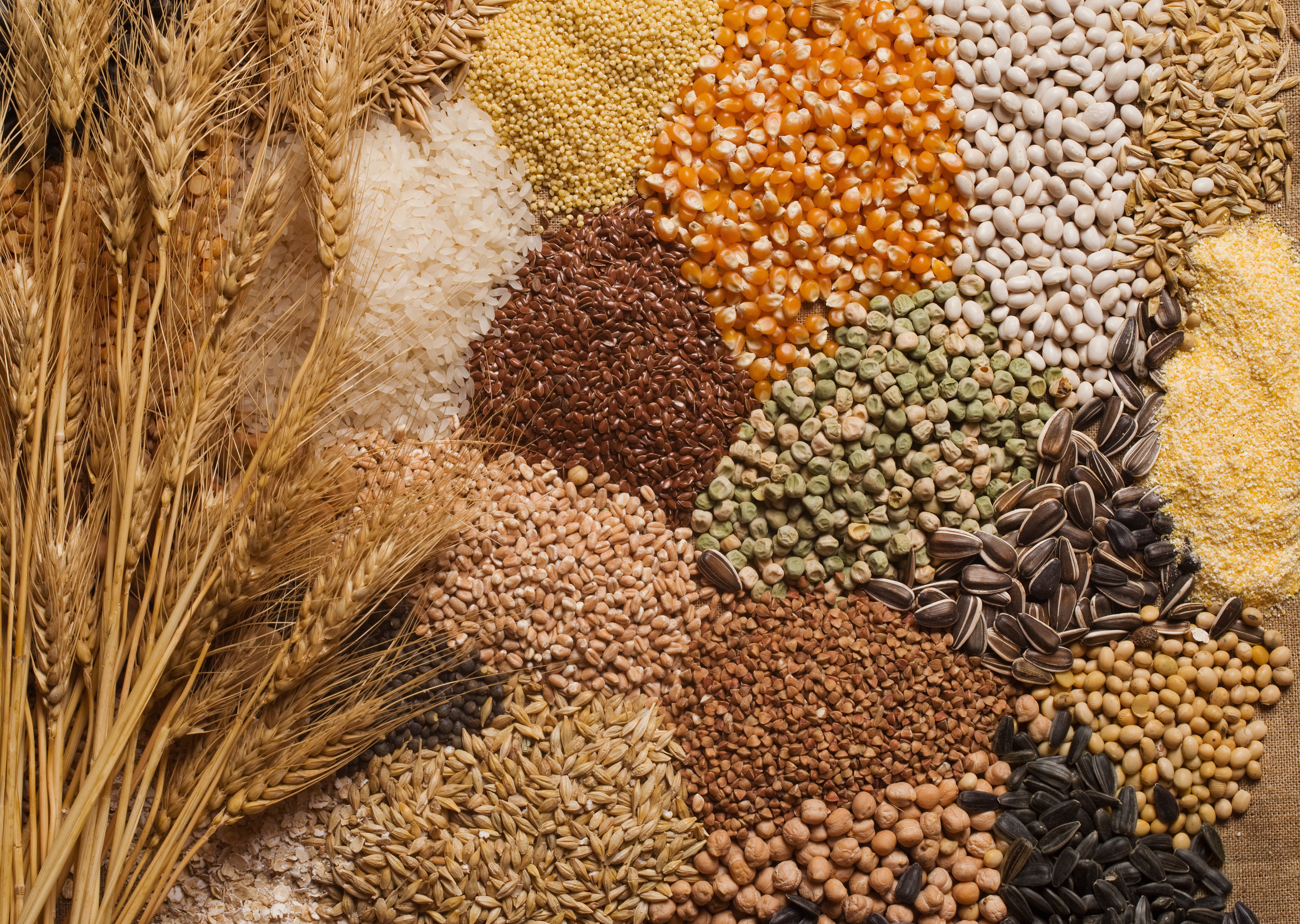 Assortment of whole grains