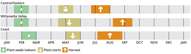 3 regions of Oregon showing months to plant and harvest peppers.