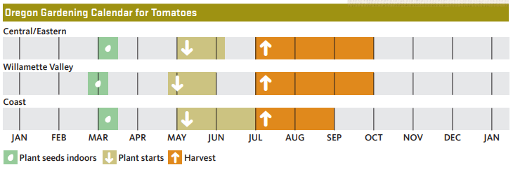 chart showing when to plant and harvest tomatoes in Oregon for each of 3 regions