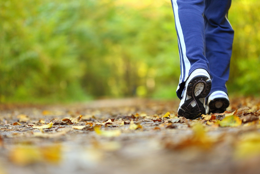 Legs Walking in the fall leaves