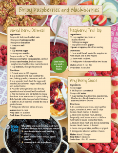 Raspberry Blackberry Food Hero Monthly Cover Image Back